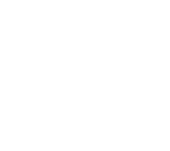 Все типы эвакуаторов: как выбрать подходящий в экстренной ситуации